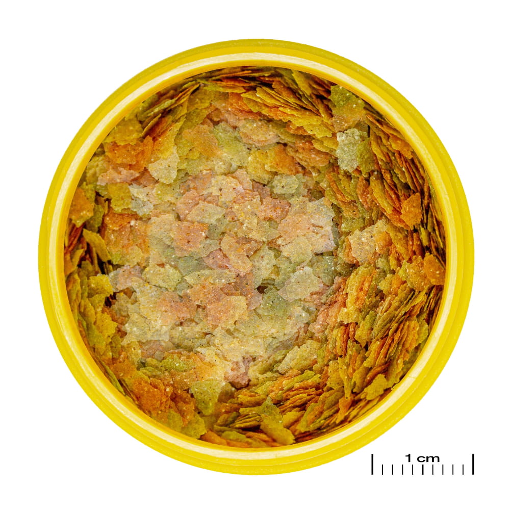 novo betta flakes.jpg